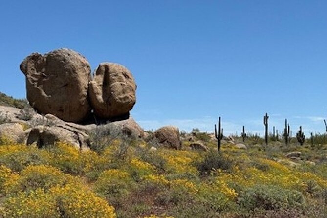 1-2 Hour Sonoran Desert Private Guided Hiking Tour - Who should book this hike?