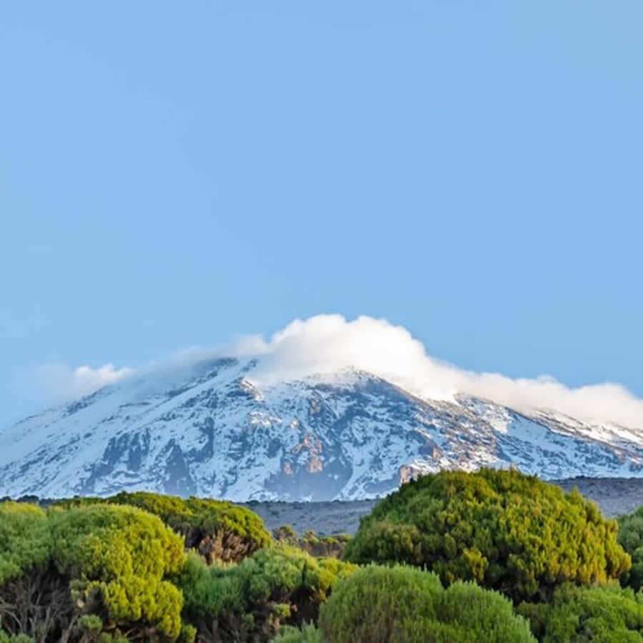 #1. Best Kilimanjaro Day hike Tour-Machame Route-ISMANI - Key points to know before you book