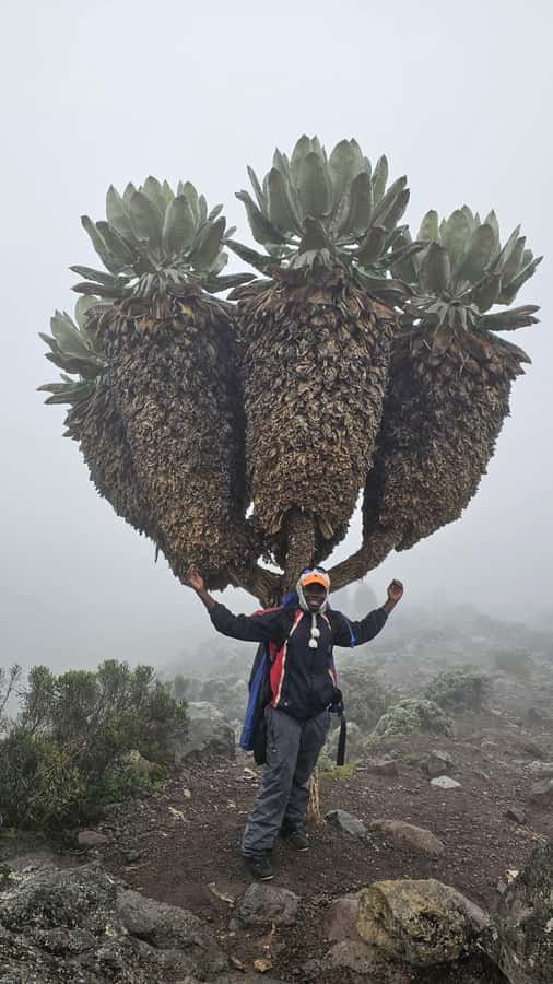 #1. Best Kilimanjaro Day hike Tour-Machame Route-ISMANI - The return walk and the 6 p.m. gate deadline
