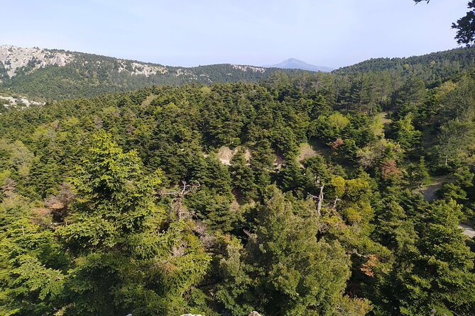 1 Day Parnitha Athens Private Hiking Tour with Hotel Pickup - Leaving Athens for Parnitha National Park