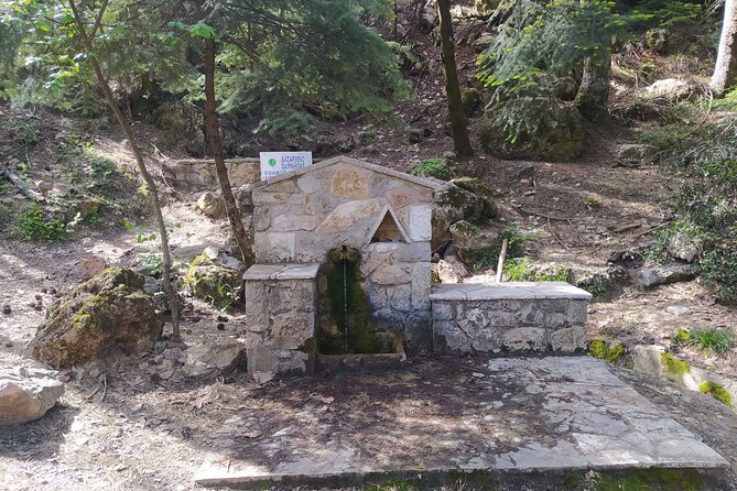 1 Day Parnitha Athens Private Hiking Tour with Hotel Pickup - Fir forests and a protected mountain home
