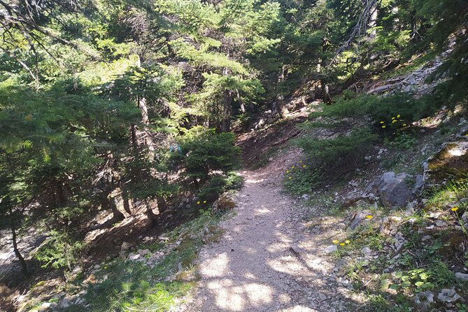 1 Day Parnitha Athens Private Hiking Tour with Hotel Pickup - What the guide adds to the day