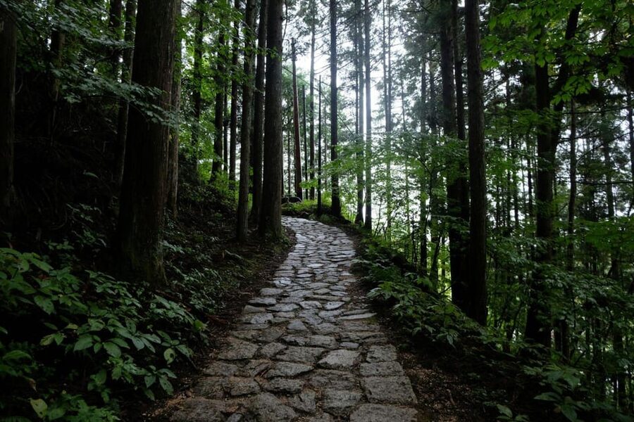 1-Day Tour from Nagoya: Hiking the Historic Nakasendo Trail - Key points at a glance
