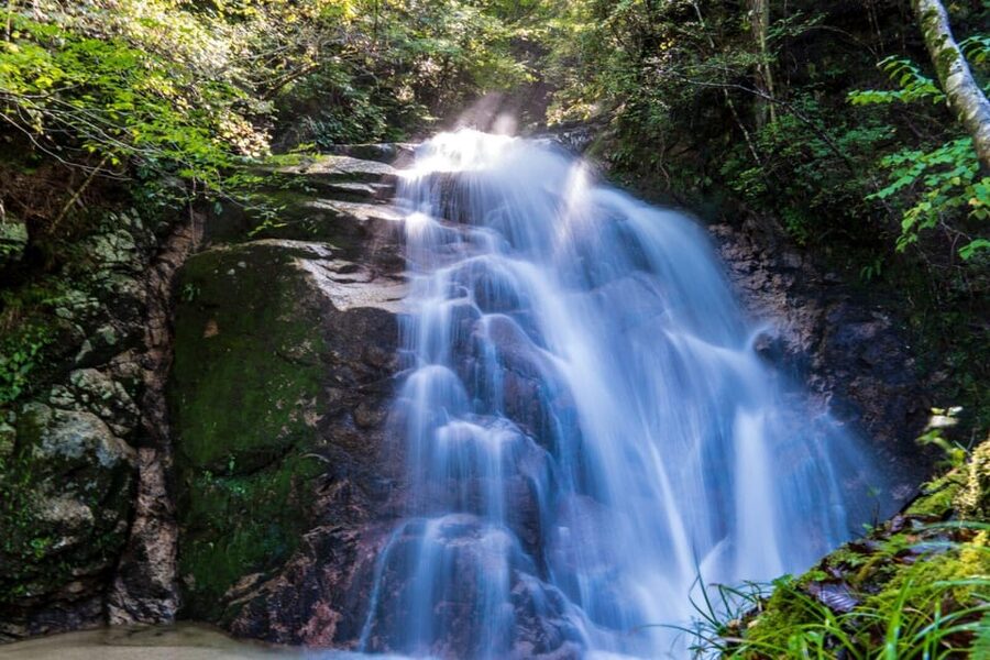 1-Day Tour from Nagoya: Hiking the Historic Nakasendo Trail - Who should book this experience?