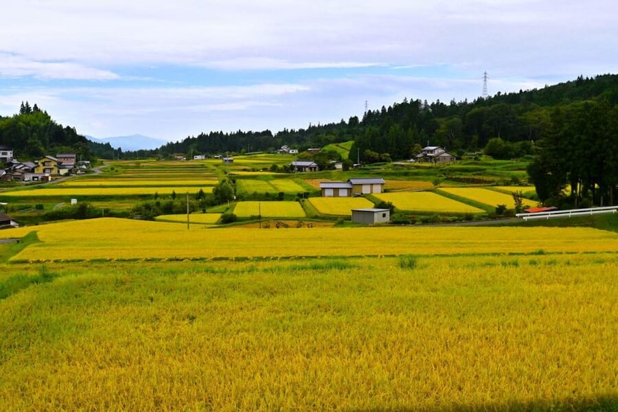 1-Day Tour from Nagoya: Hiking the Historic Nakasendo Trail - Meeting your guide at Nagoya Station