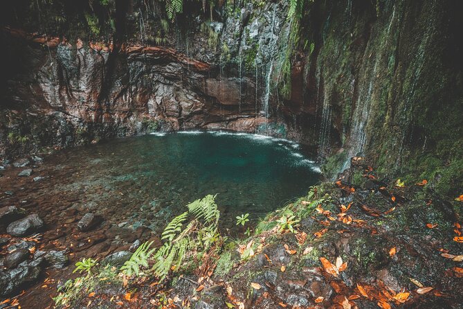25 Fountains Levada: Hiking Tour in Madeira Rabaçal Valley (PR6) - The 25 Fountains stop and its crowded reality