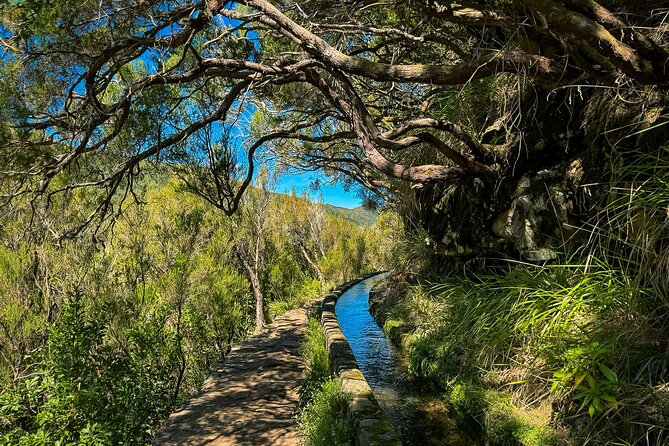 25 Fountains Levada: Hiking Tour in Madeira Rabaçal Valley (PR6) - Weather can change the shape of the day