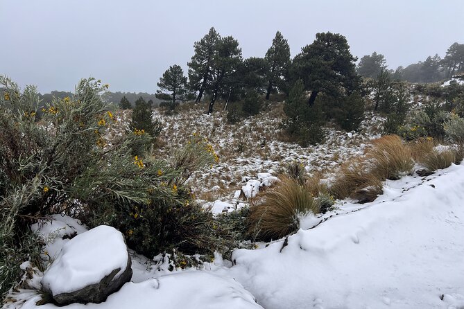 3 Hour Private Hike: Mountain Nevado Toluca from Mexico City - Cold, snow, fog, and the weather gamble