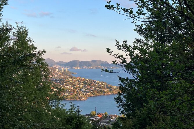 3-Hour Private Norwegian Hiking Experience with Local Guide - My take on the $150.70 price