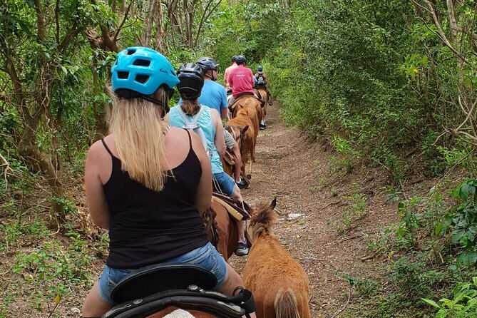 3 Hours Horseback Riding from Nature Trails to Sofa Stone - Riding from St. Kitts countryside to Sofa Stone