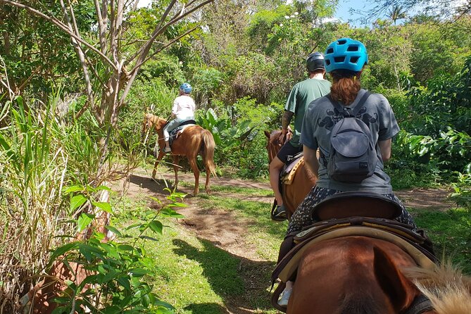 3 Hours Horseback Riding from Nature Trails to Sofa Stone - The ride back and the timing question