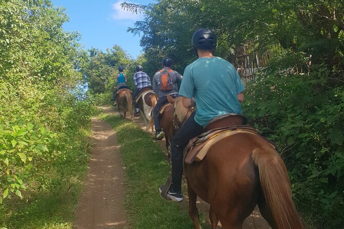 3 Hours Horseback Riding from Nature Trails to Sofa Stone - Guides, safety, and the beginner experience