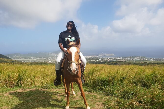 3 Hours Horseback Riding from Nature Trails to Sofa Stone - Is the $97.50 price fair?