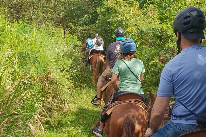 3 Hours Horseback Riding from Nature Trails to Sofa Stone - Who should book this horse ride?