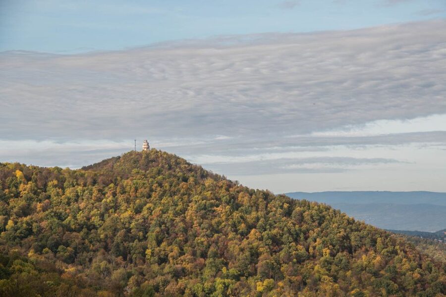 3Hour Outdoor Budapest Normafa Hike&History With a Historian - Key points to know before you book