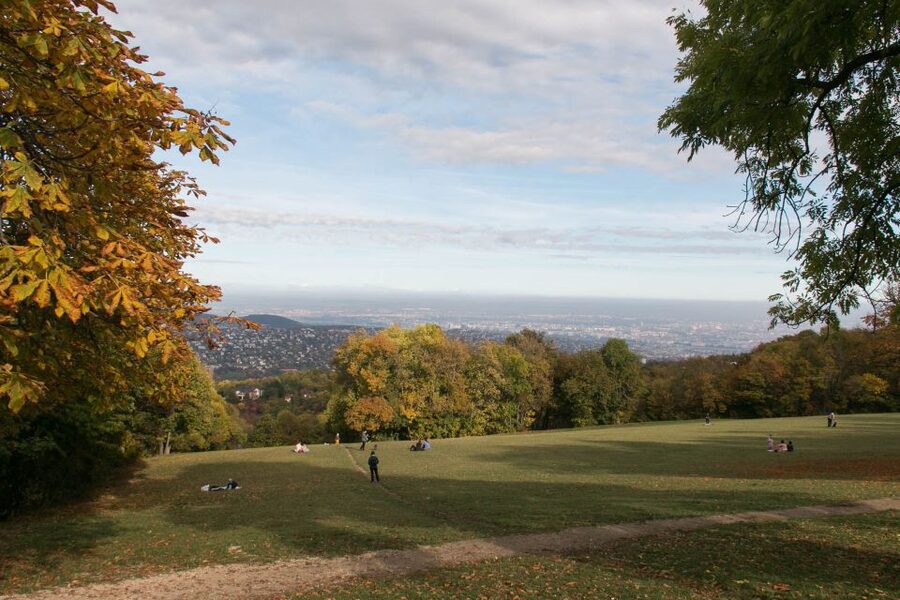 3Hour Outdoor Budapest Normafa Hike&History With a Historian - Starting at Széll Kálmán Square