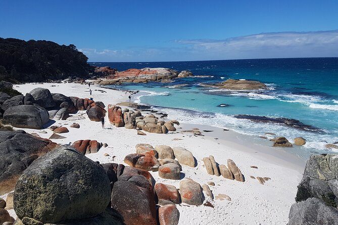 4 Day Wild Tasmania Tour / Wildlife, Nature, Hiking / Inc. Accom - Why this route works for a short Tasmania visit