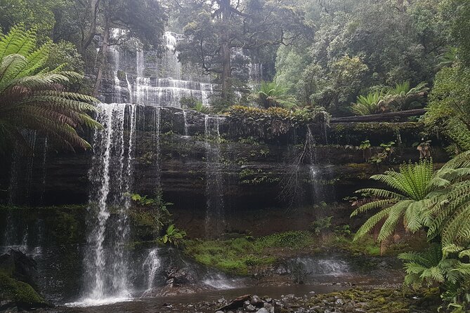 4 Day Wild Tasmania Tour / Wildlife, Nature, Hiking / Inc. Accom - Accommodation, fitness, and the pace