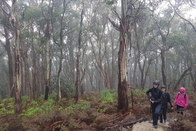 4 Day Wild Tasmania Tour / Wildlife, Nature, Hiking / Inc. Accom - Should you book the Wild Tasmania Tour?