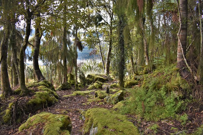 4-hour Lake Mapourika Kayak and Hike adventure, with Okarito Kiwi Sanctuary - Weather, clothing, and comfort