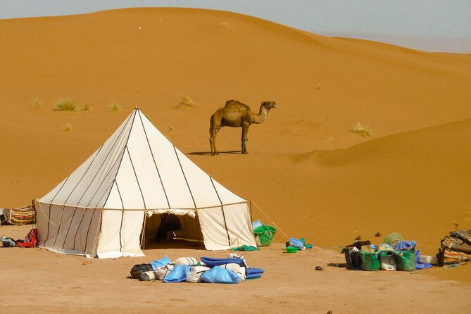 5-Day Desert Hiking Adventure from Merzouga - What you eat and carry in the desert