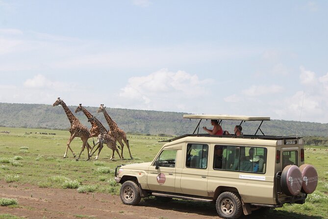 6 Days Serengeti Safari(hiking waterfalls &coffee tour) - What this six-day Tanzania safari is really like