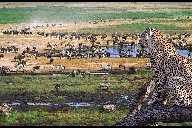 6 Days Serengeti Safari(hiking waterfalls &coffee tour) - Day 6: Materuni Waterfalls, Chagga culture, and coffee