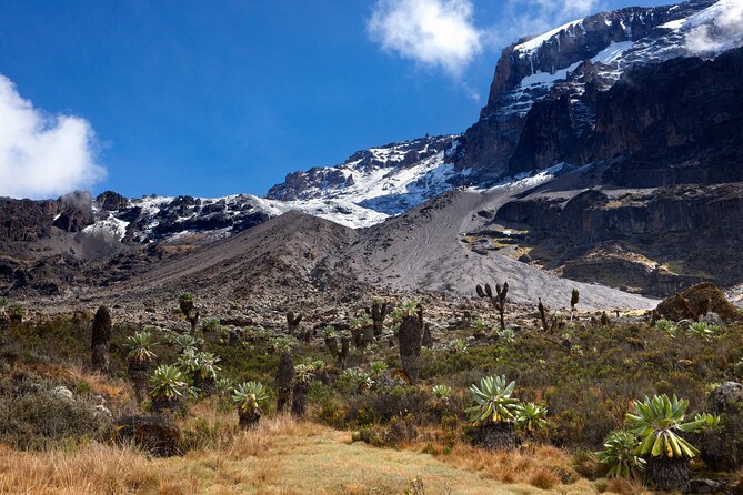 7-Day Private Kilimanjaro Hiking Tour via Machame from Arusha - Why the Machame Route works so well in seven days