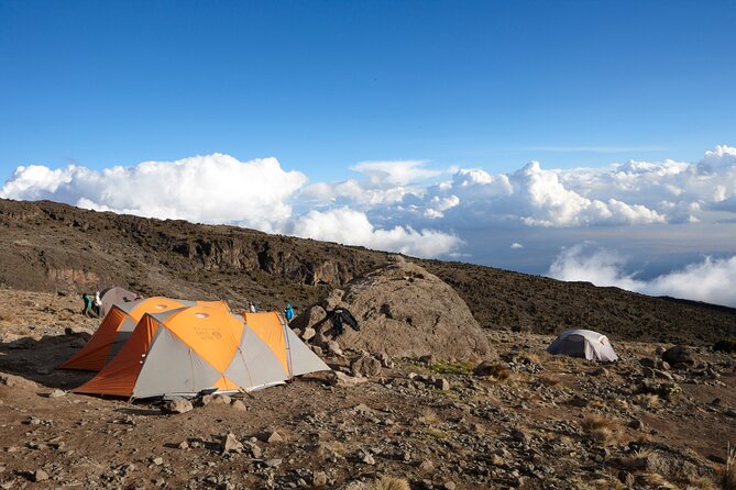 7-Day Private Kilimanjaro Hiking Tour via Machame from Arusha - Day 7: Mweka forest and the return to Arusha