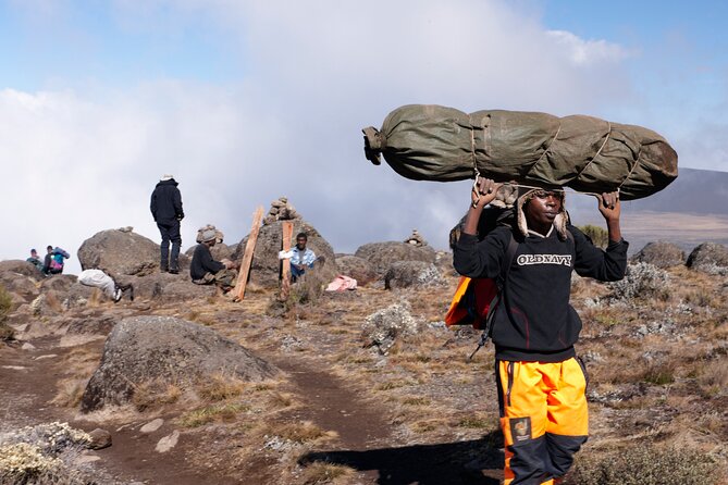 7-Day Private Kilimanjaro Hiking Tour via Machame from Arusha - Day 1: Arusha to Machame Gate and the cloud forest
