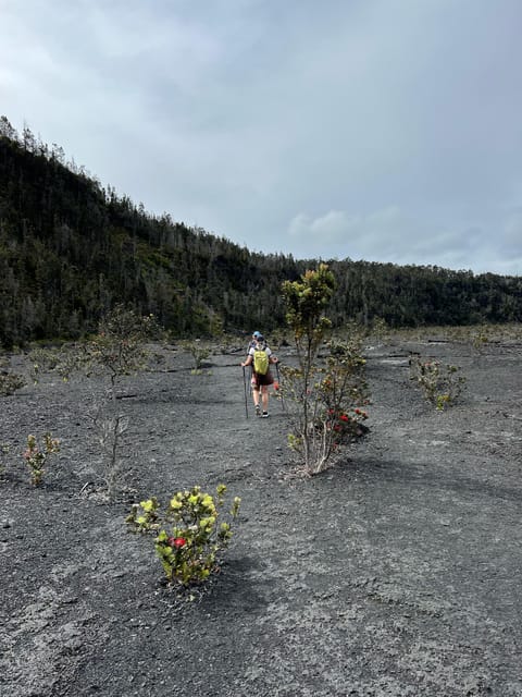 A Guided Hike Adventure: Kilauea Iki Crater and a Lava Tube - Timing, meeting points, and group size