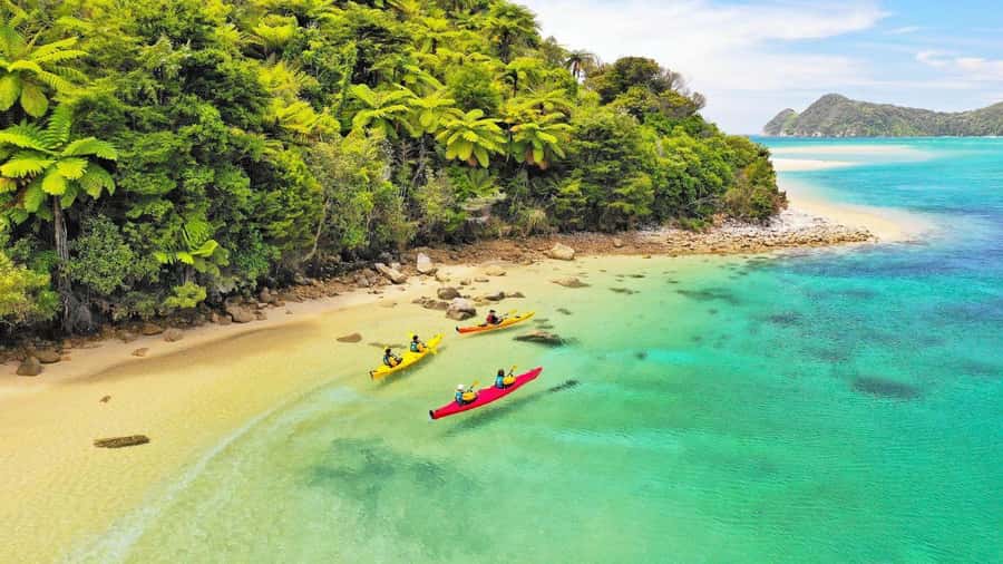 Abel Tasman National Park: Cruise, Kayak, & Hike Tour - Lunch provides a useful pause between water and trail