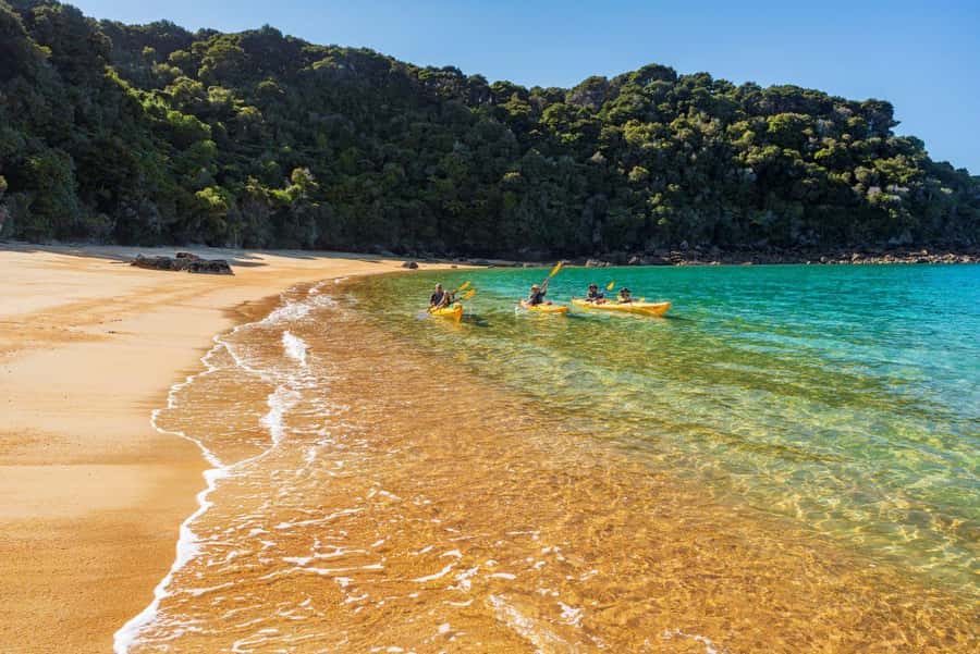 Abel Tasman National Park: Cruise, Kayak, & Hike Tour - The coastal walk to Anchorage slows the day down