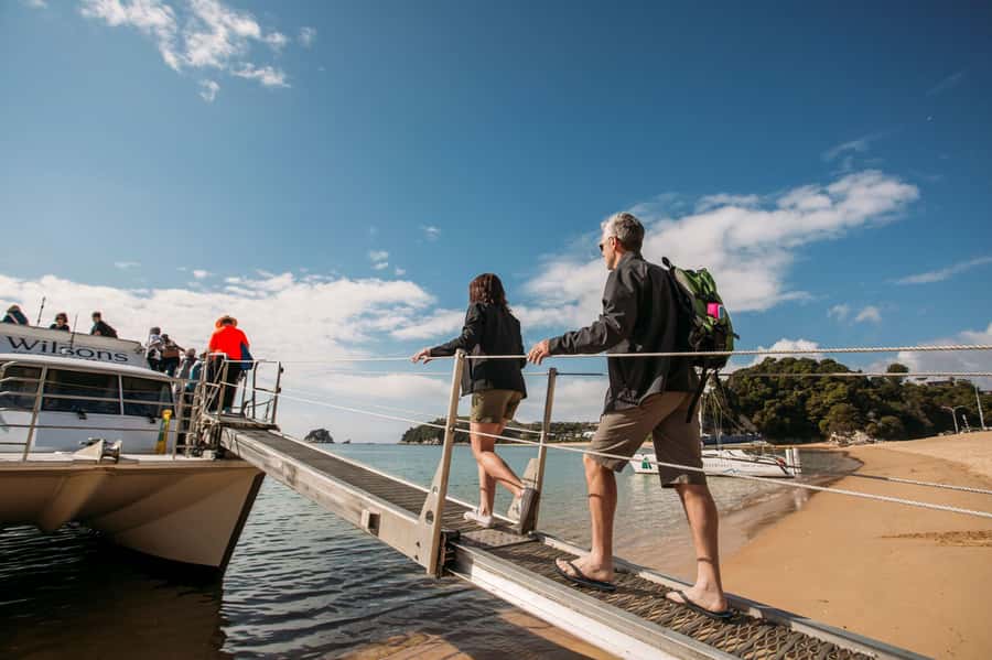 Abel Tasman National Park: Cruise, Kayak, & Hike Tour - Adele Island brings seals and birds into the picture