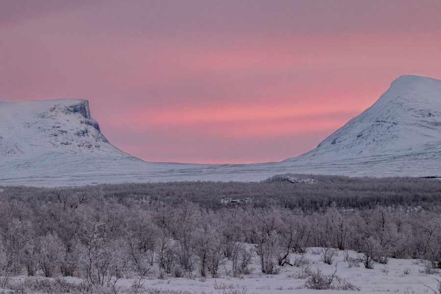 Abisko National Park: Scenic Morning Hike with Transfer - What the guide adds beyond the trail
