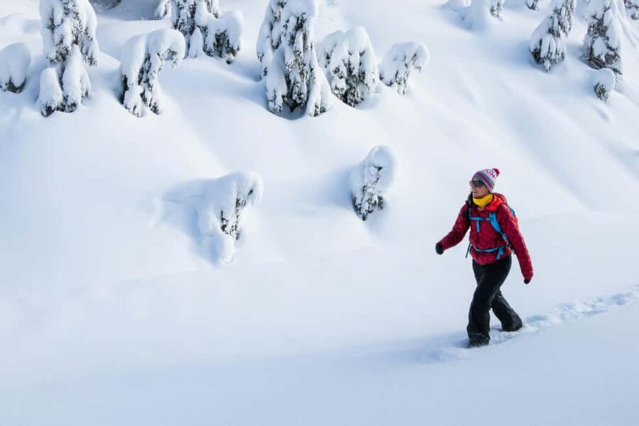 Abisko: Photo Hike with Professional Photographer - Three hours among forests, viewpoints, and water