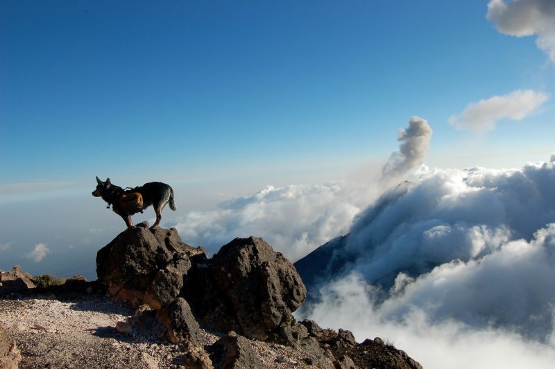Acatenango Volcano 2-Day Hike - What the $245 price includes
