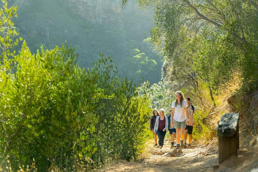 Adelaide: Morialta Wilderness and Wildlife Hike - Key points to know before you book