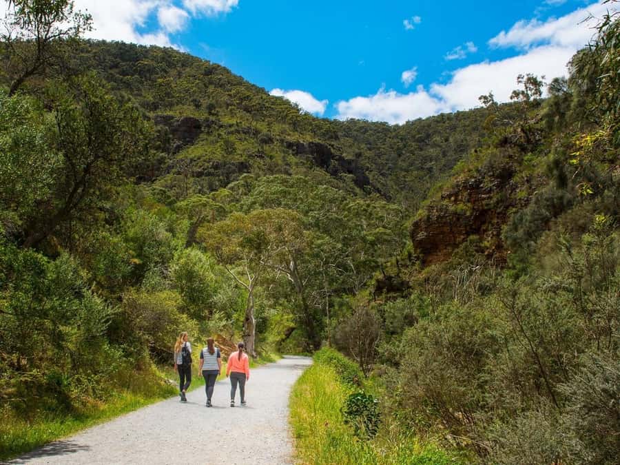 Adelaide: Morialta Wilderness and Wildlife Hike - Why Morialta makes a good half-day from Adelaide