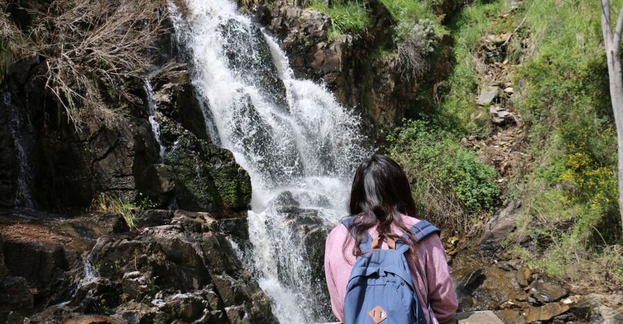 Adelaide: Morialta Wilderness and Wildlife Hike - Seasonal flowers, creeks, and small creatures