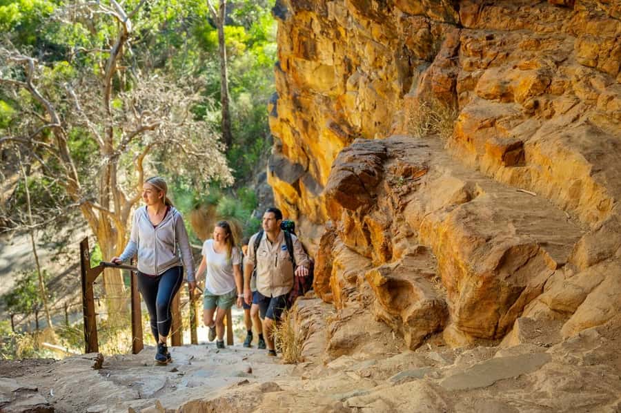 Adelaide: Morialta Wilderness and Wildlife Hike - What is included for $87