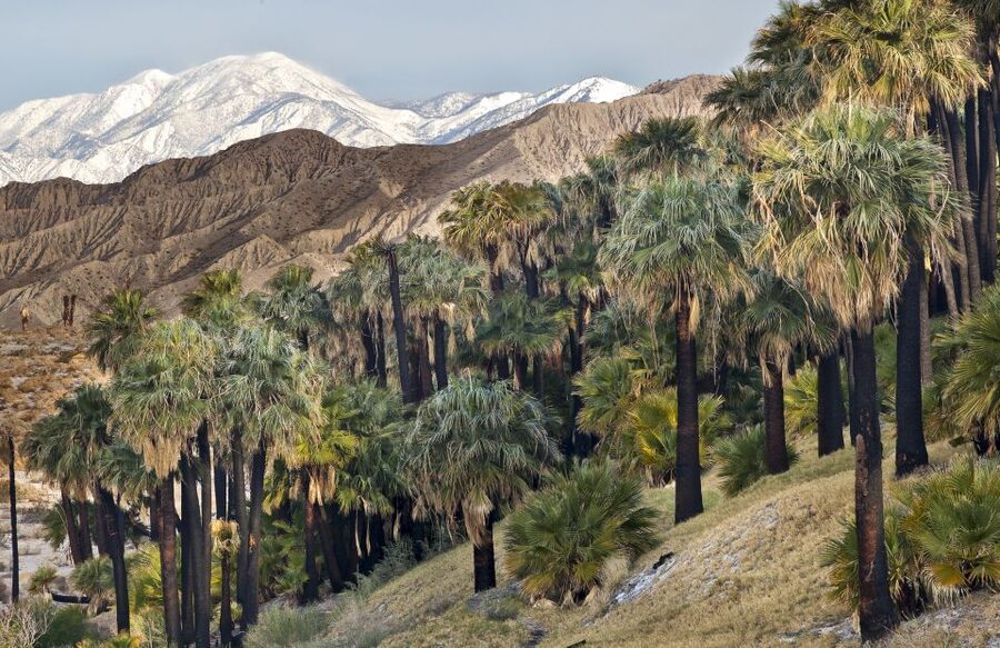 Agadir Paradise Valley Trip Hiking & Swimming - Who will enjoy this outing most?