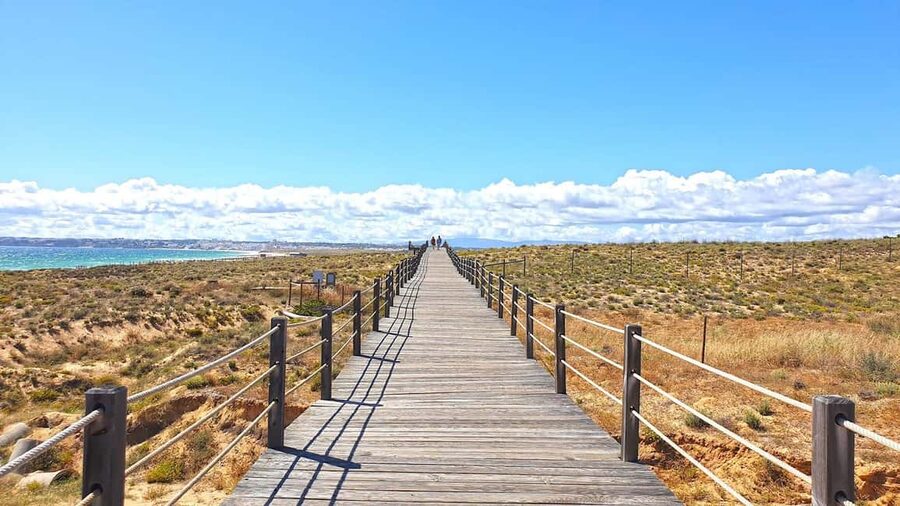Albufeira: E-Bike tour of Nature Trails and Tradition - Pace, comfort, and what to bring