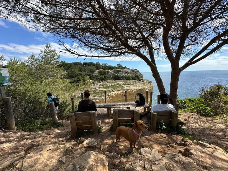 Algarve: 7 Seven Hanging Valley Hike Tour- Photos & Transfer - Walking from Vale Centeanes toward the Seven Hanging Valleys