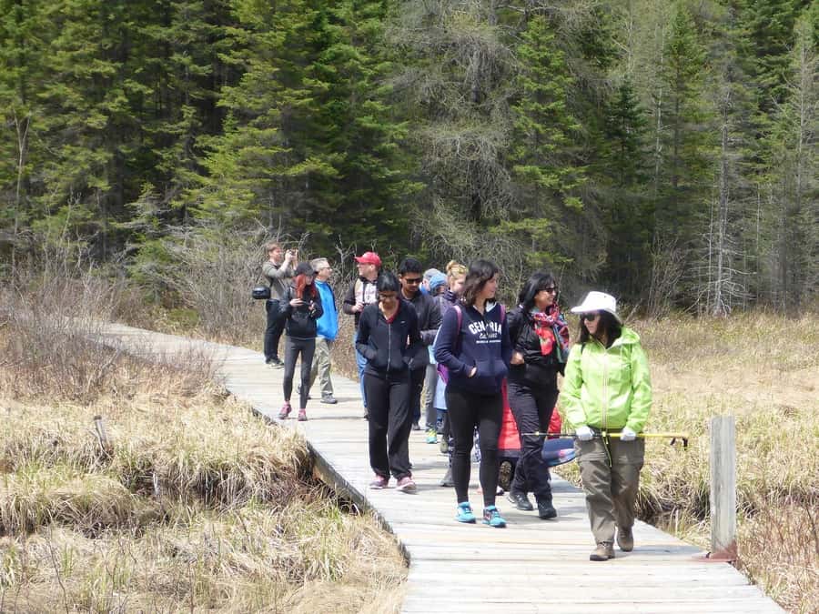 Algonquin Park Hiking: Adventure Tour from Toronto - Practical packing advice