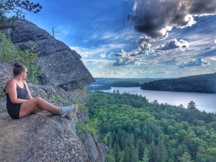 Algonquin Park Hiking: Adventure Tour from Toronto - Wildlife: good conditions, no promises