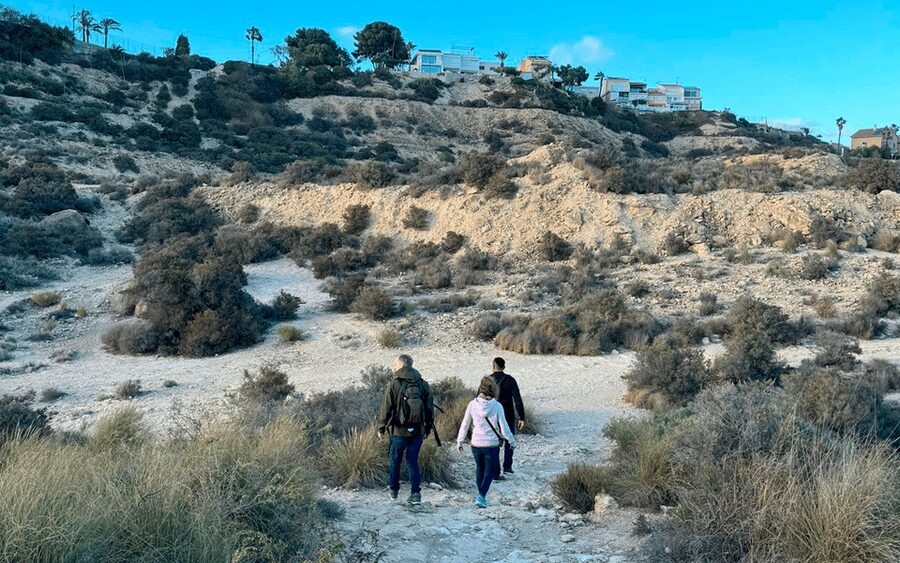 Alicante: Coastline E-Bike and Hiking Tour - My final call: book it if you want coast and movement