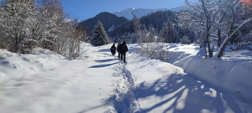 Almaty: Hiking to the High Mountain Pasture Kok Zhailau - Reaching Kok Zhailau at 2,200 meters