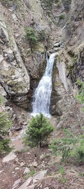 Almaty: Hiking to the High Mountain Pasture Kok Zhailau - What $144 includes, and where the value lies