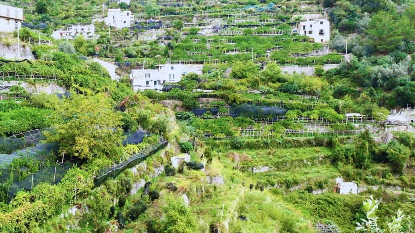 Amalfi Coast: Hike Along the Path of the Lemons - Walking from Torre toward Minori